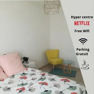  Appartement Citystay Hypercentre Airbus Wifi Free France